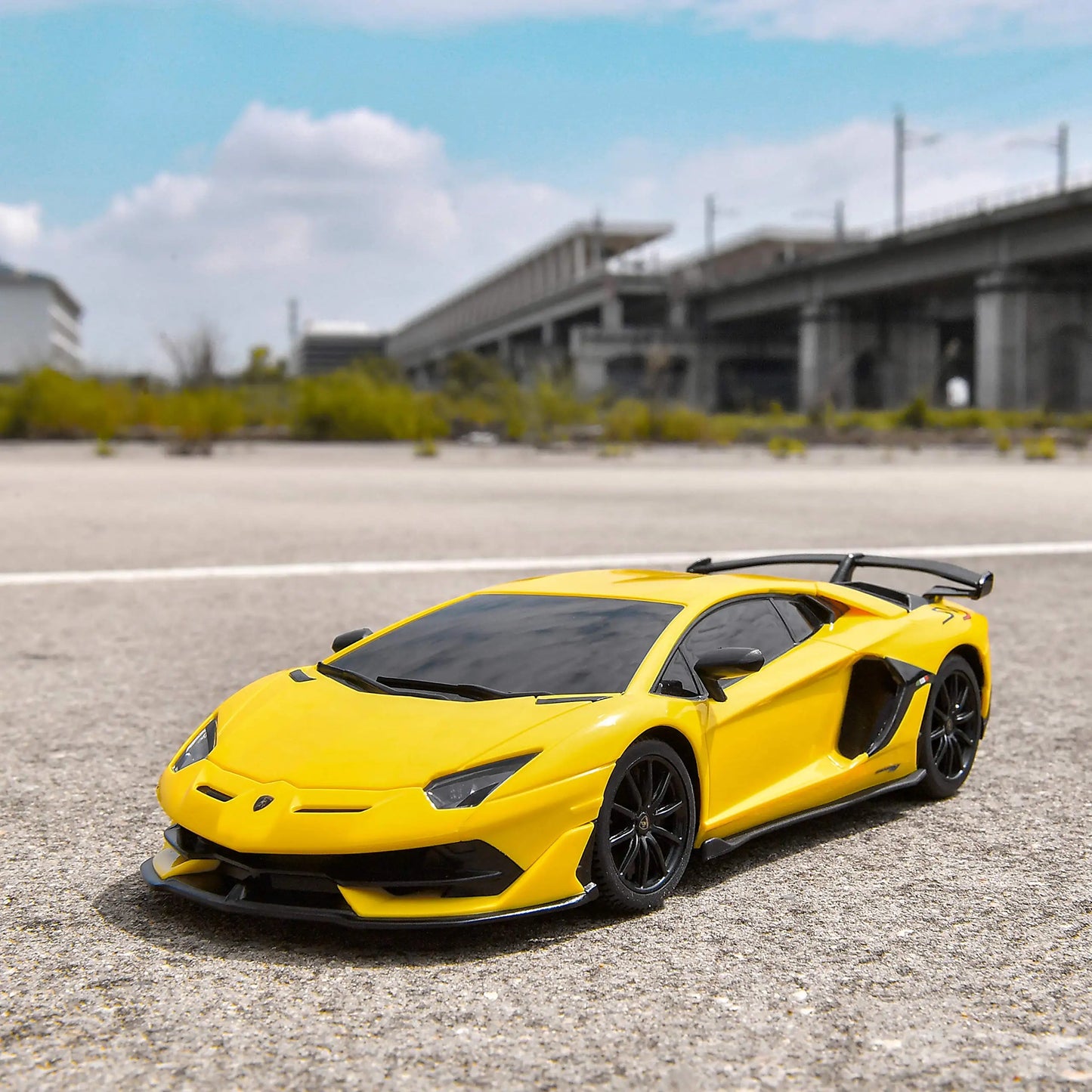 Remote Control Lamborghini Aventador SVJ RC Car 1:24 Scale