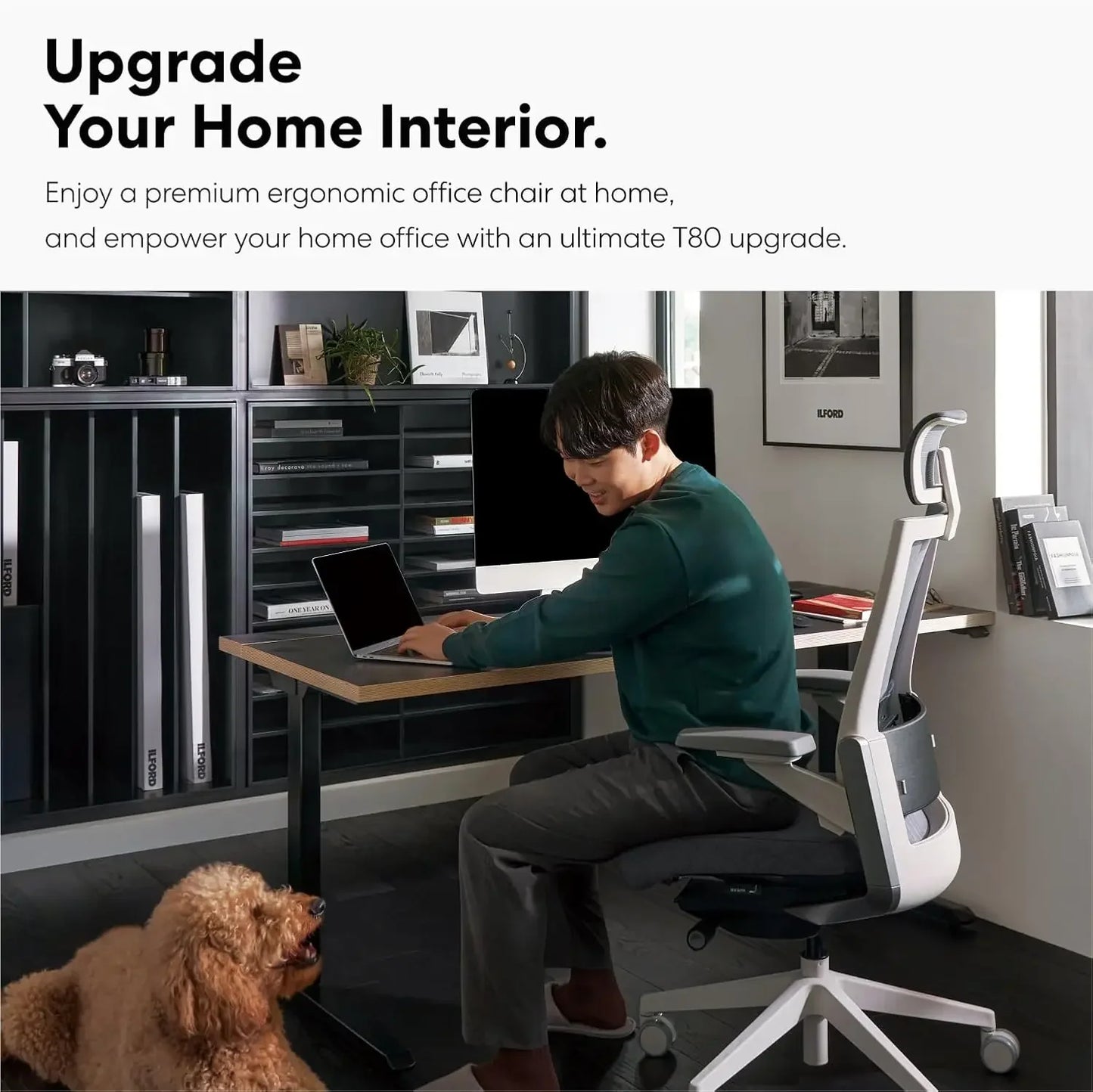 T80 Premium Ergonomic Office Chair : Extreme Comfort Home Office Desk Chair, Adjustable Headrest, Lumbar Support, 3D Armrests, F